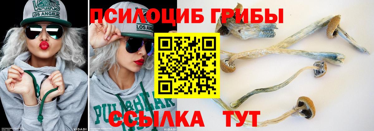 Шатура  Псилоцибиновые грибы мухоморы  Вход с VPN  продажа наркотиков  Псилоцибиновые грибы ЛСД 