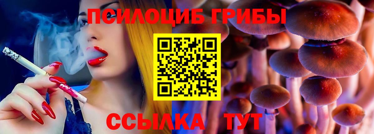 Галлюциногенные грибы Psilocybine cubensis Шатура
